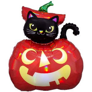 Iridescent Cat and Pumpkin (#39987)