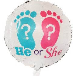 猜猜他或她 (#233234)