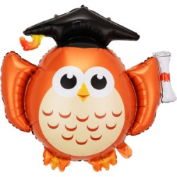 畢業貓頭鷹 (#99247)